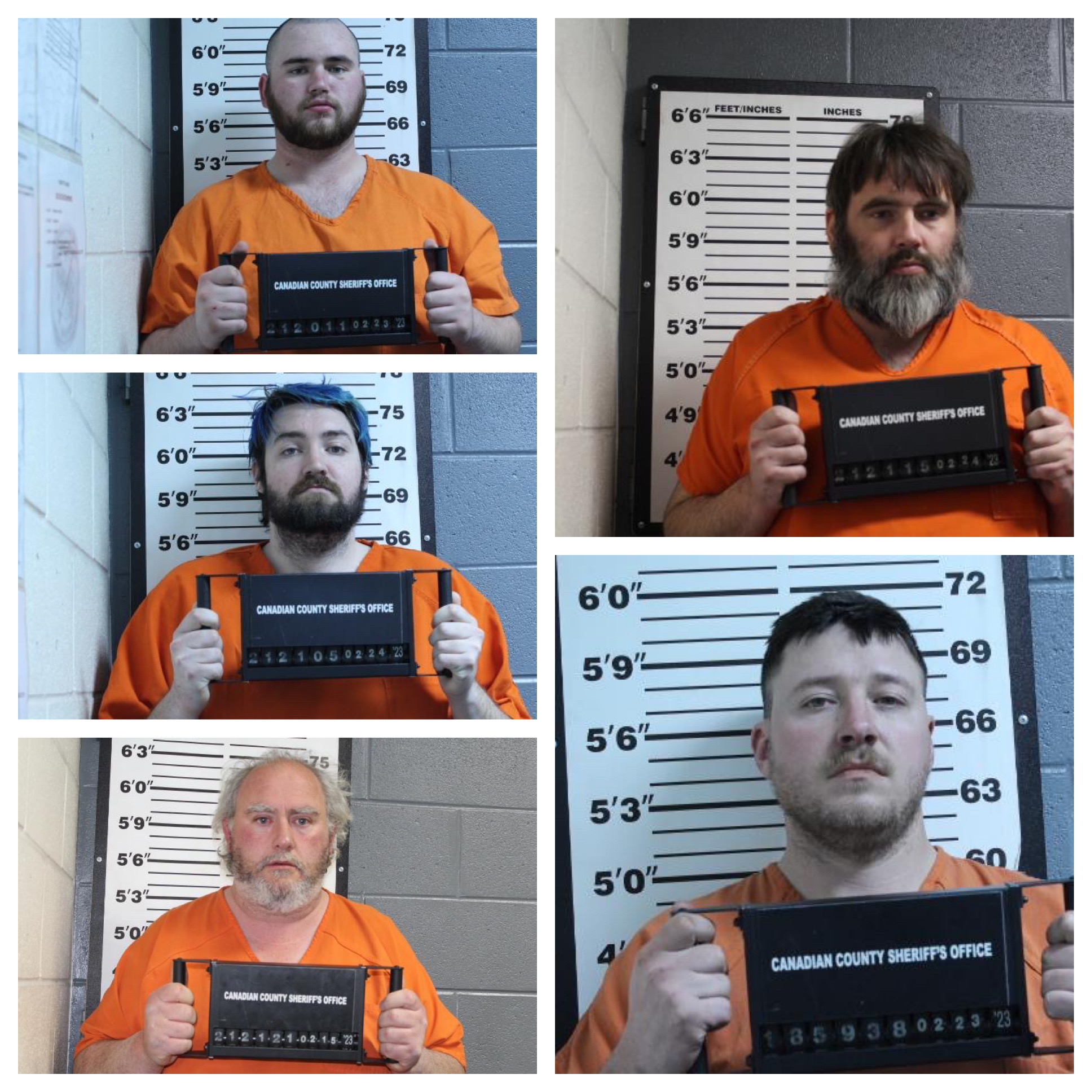 Five Predators Arrested
